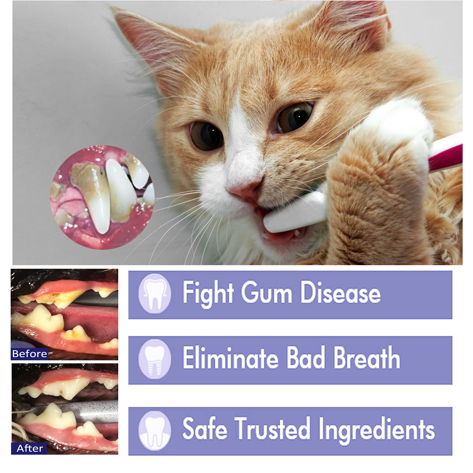 Pet Toothpaste Reduce Tartar R - Teeth Whitening And Stain Removal ulasan dan harga
