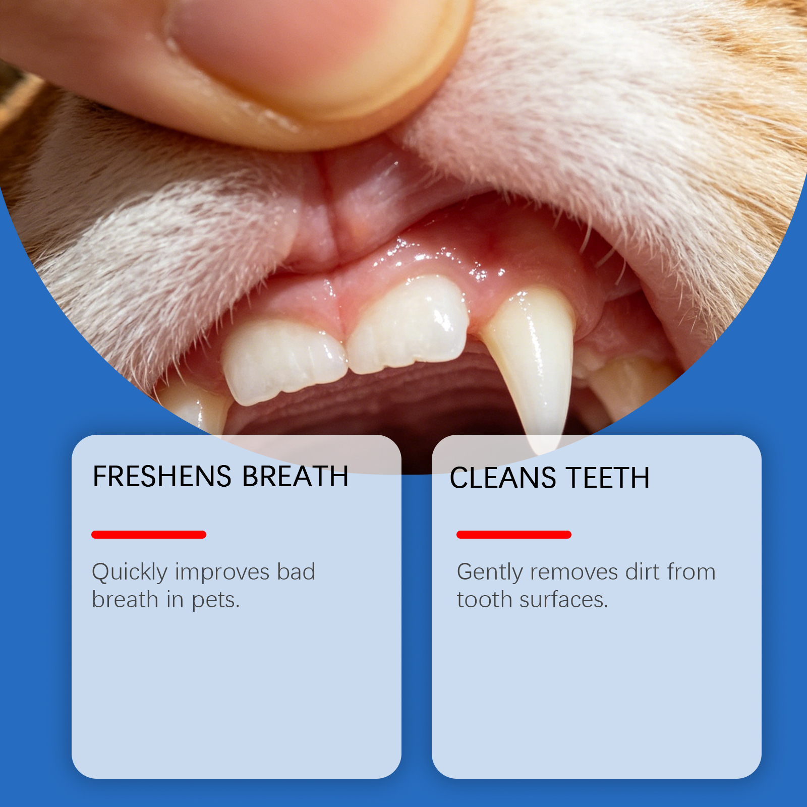 Pet Teeth Cleaning Spray Deep  - Teeth Whitening And Stain Removal ulasan dan harga