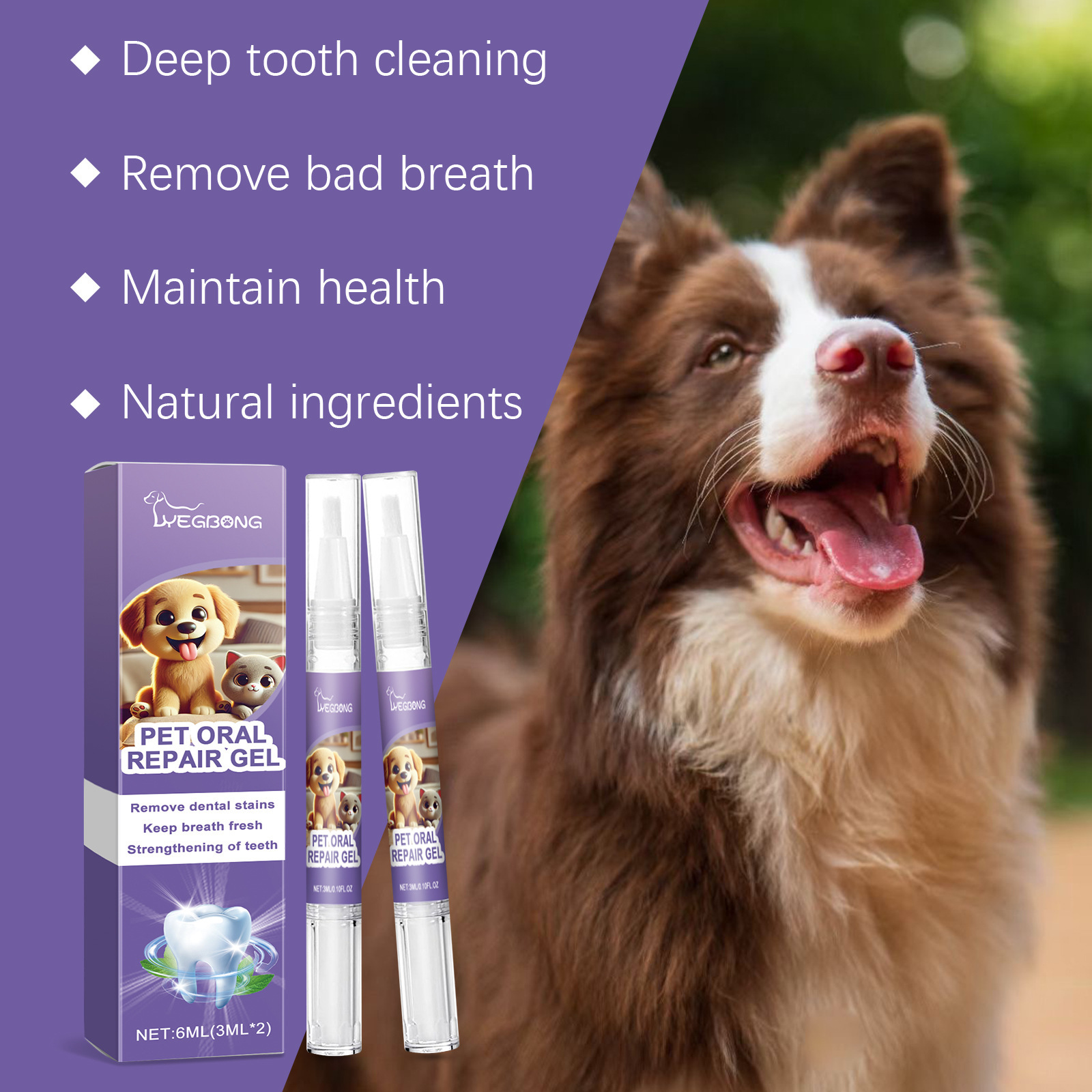 12pcs Pet Toothbrush Pen Denta - Teeth Whitening Pen ulasan dan harga